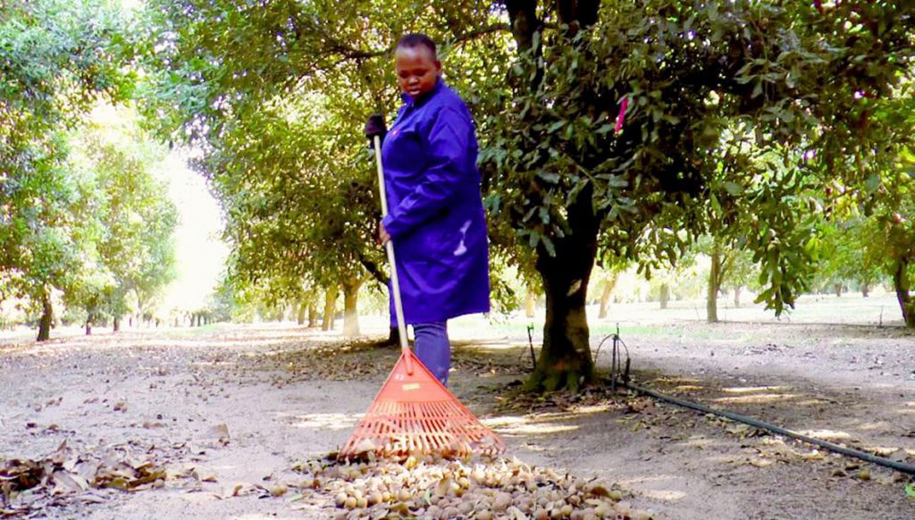 China presents enormous opportunity for South Africa’s agriculture sector