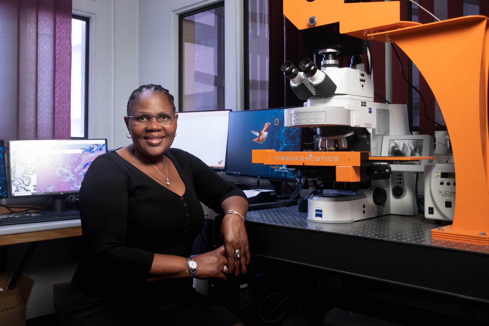 Pan-Cancer Study Maps Highly Variable Tertiary Lymphoid Structures in Tumors and Builds AI Detection Tool