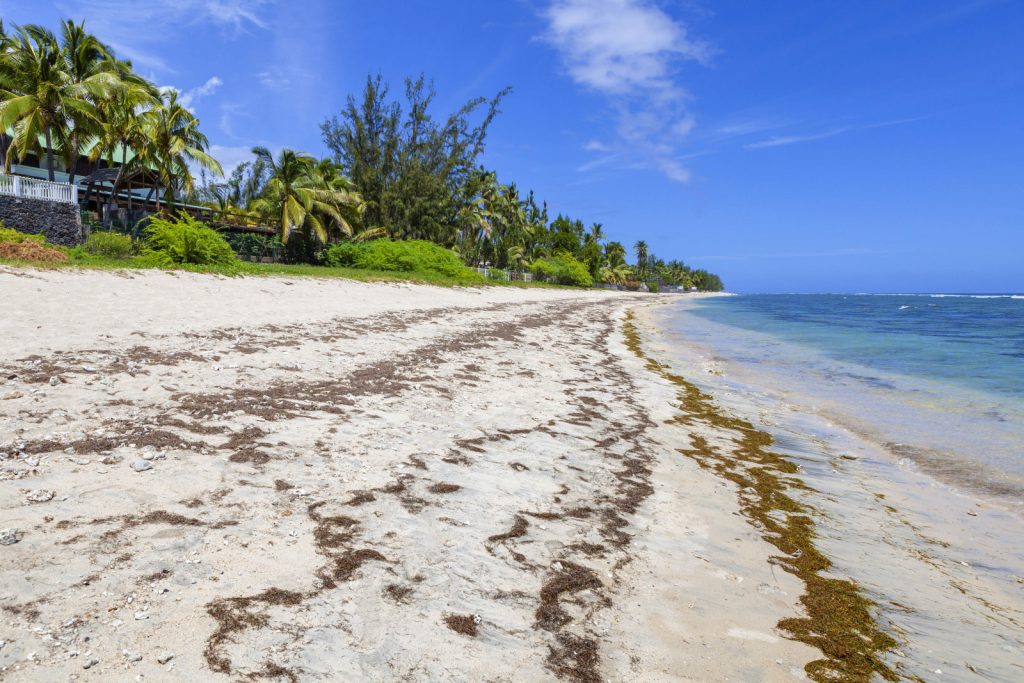 Exploring Reunion, a soupçon of France in the Indian ocean