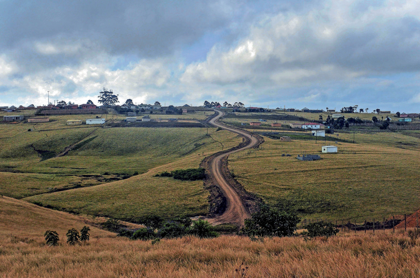 Rooting brand creativity in South African culture