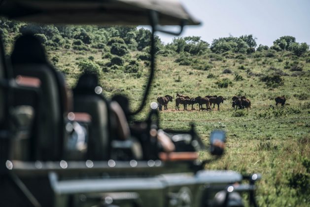 A Journey To Discover Joburg s Four Rands The Mail Guardian