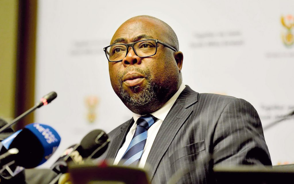 Thulas Nxesi Scaled
