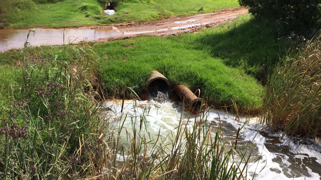 Cradle of Humankind residents fear sinkholes, groundwater contamination from toxic acid mine drainage