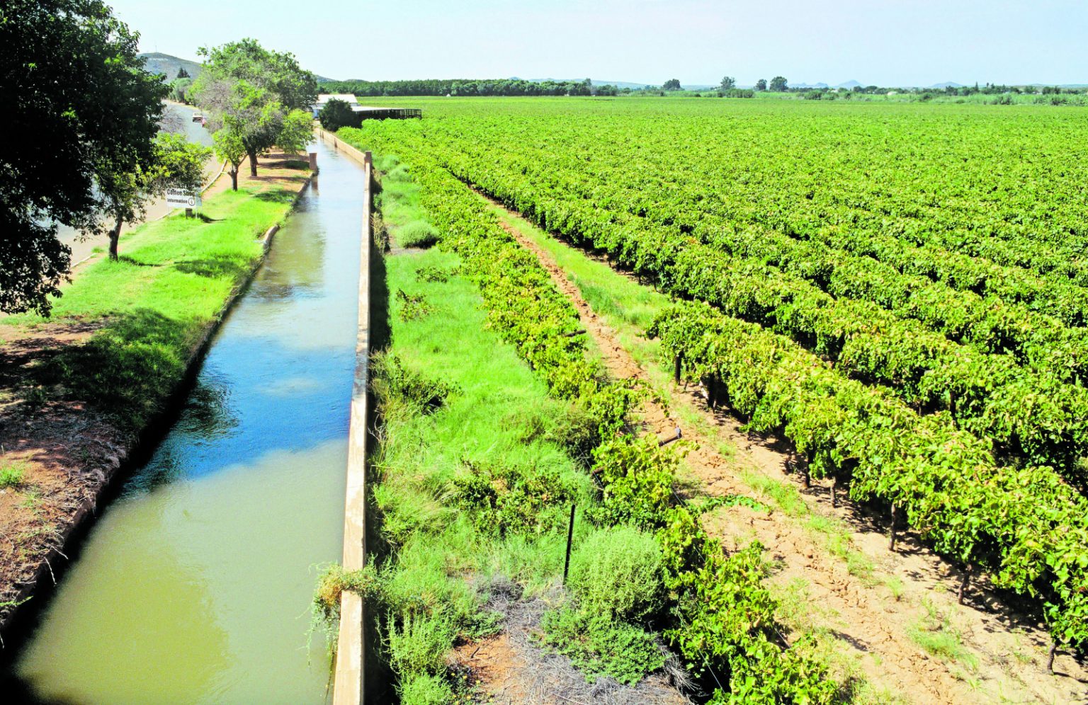 Traces of cholera detected in Vaal River The Mail & Guardian