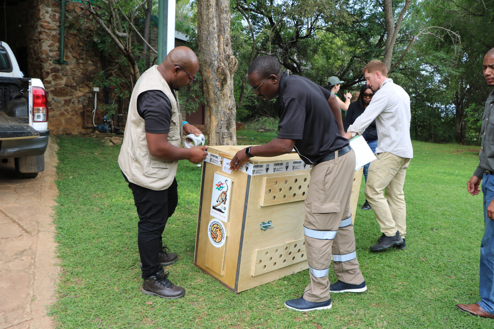 Conservation potential being ‘squandered’ by SA-India cheetah project