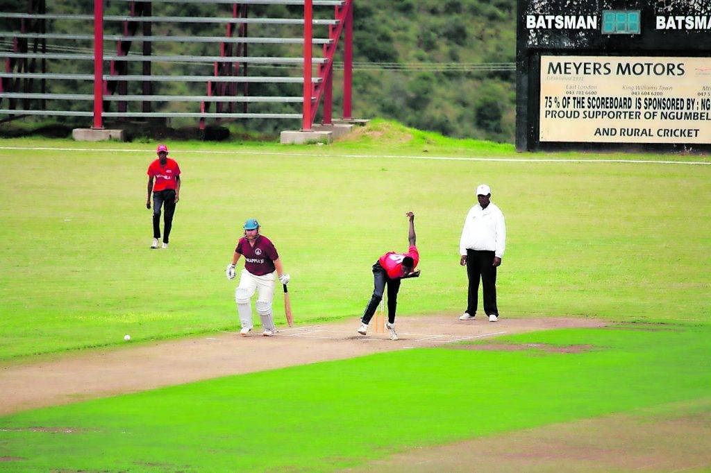 Cricket’s Pineapple Week nears 120 not out