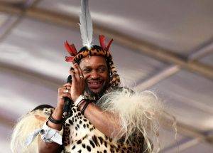 New Ingonyama boss starts work despite Jerome Ngwenya’s attempted revolt