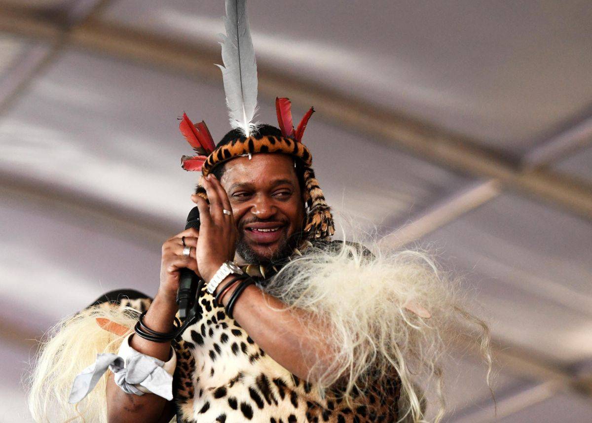 New boss of Ingonyama Trust Board starts work despite Jerome Ngwenya’s attempted revolt