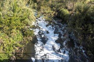 Our rivers are dying — and so are the fish we’ve never heard of