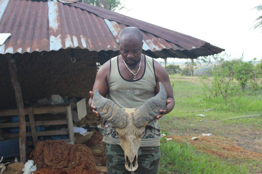 DRC stockpiles fuel illegal wildlife trade