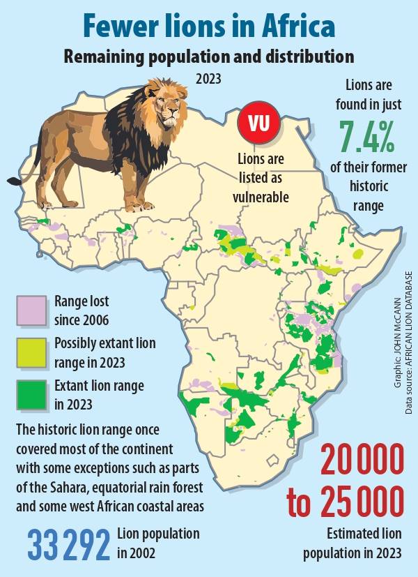 Graphic-Lions2_page-0001