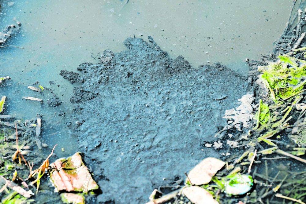 cradle humankind sewage 2 (1)