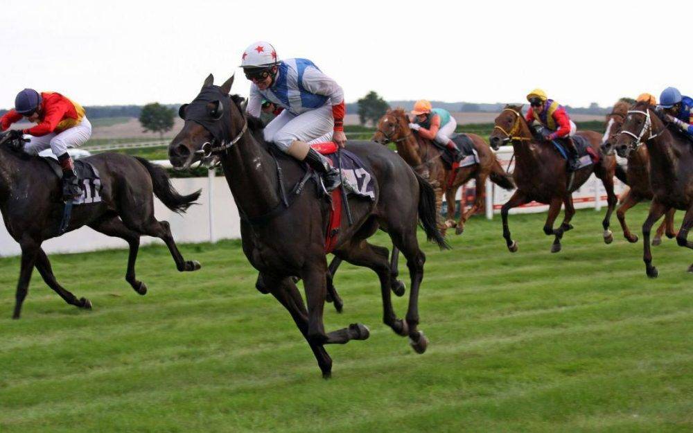 How does the future of horse racing look in South Africa?