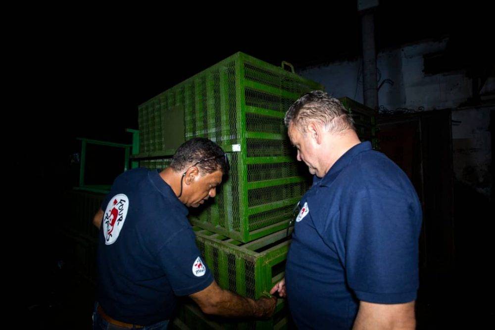 Fifty wild animals rescued from Sudanese war zone