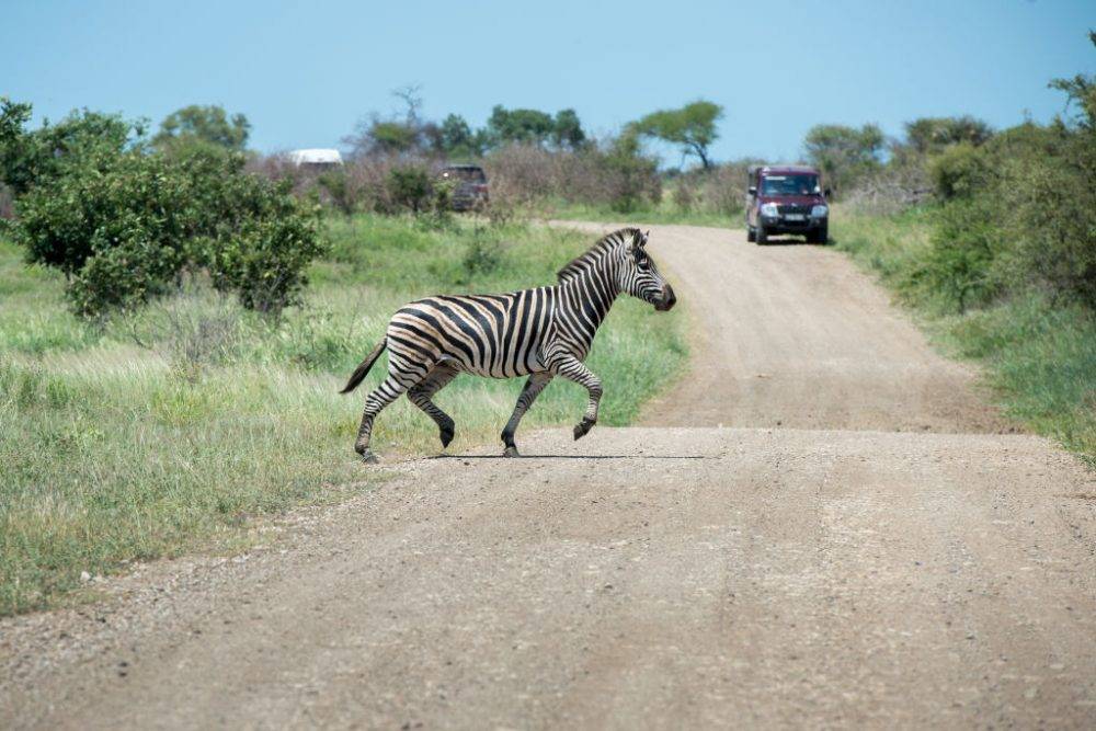 ‘Exploring South Africa’s untapped destinations can boost post-Covid tourism recovery’