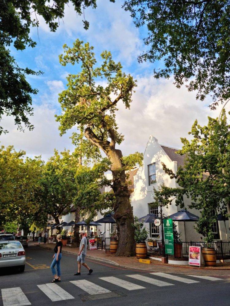 Stellenbosch street 