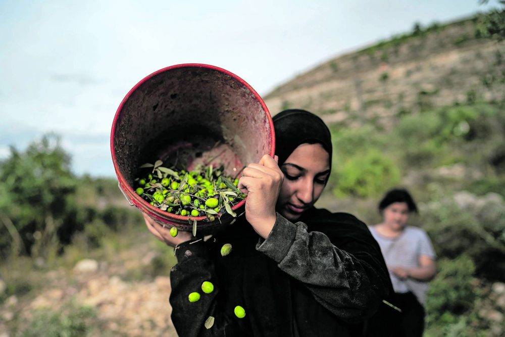 Palestine Book4