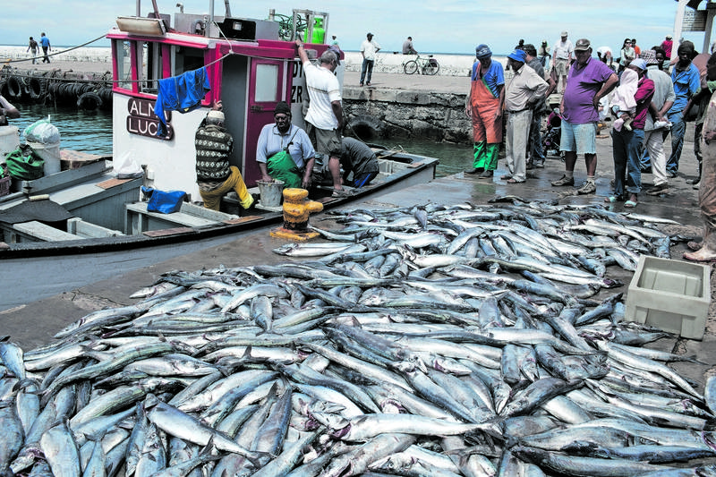 Fishing Boat Harbor In Kalk Bay, South Africa