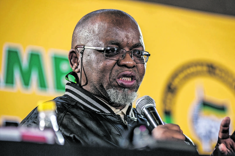 Safrica Politics Party Anc