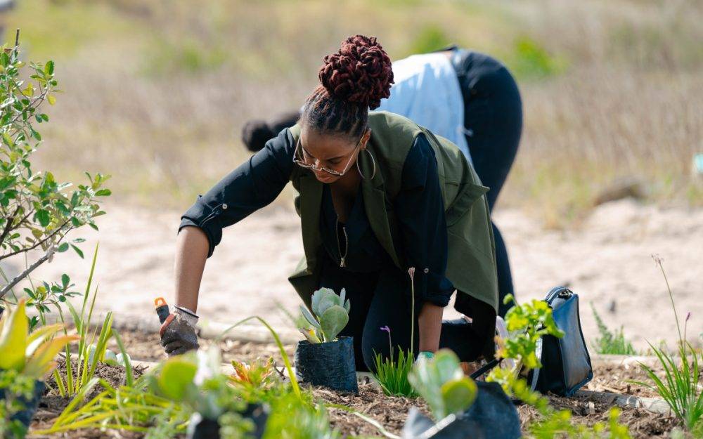 Revitalising communities through urban green zones – the key principles of transformation