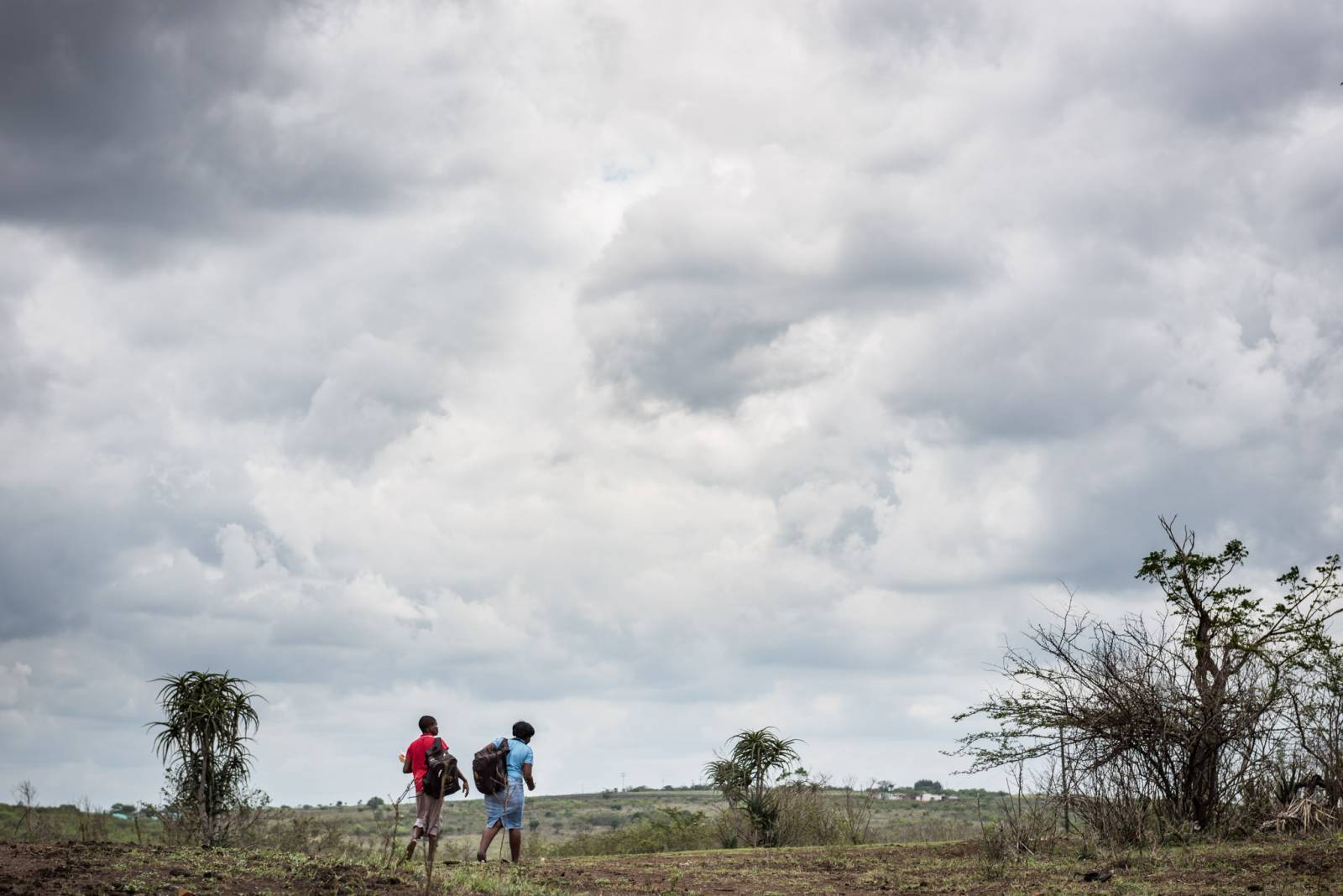 South Africa: Rural KwaZulu-Natal is helping the world find a TB vaccine – Africa Links 24 South Africa: Rural KwaZulu-Natal is helping the world find a TB vaccine – Africa Links 24