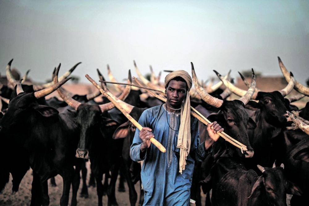 Douniamag Niger Fulani Climate