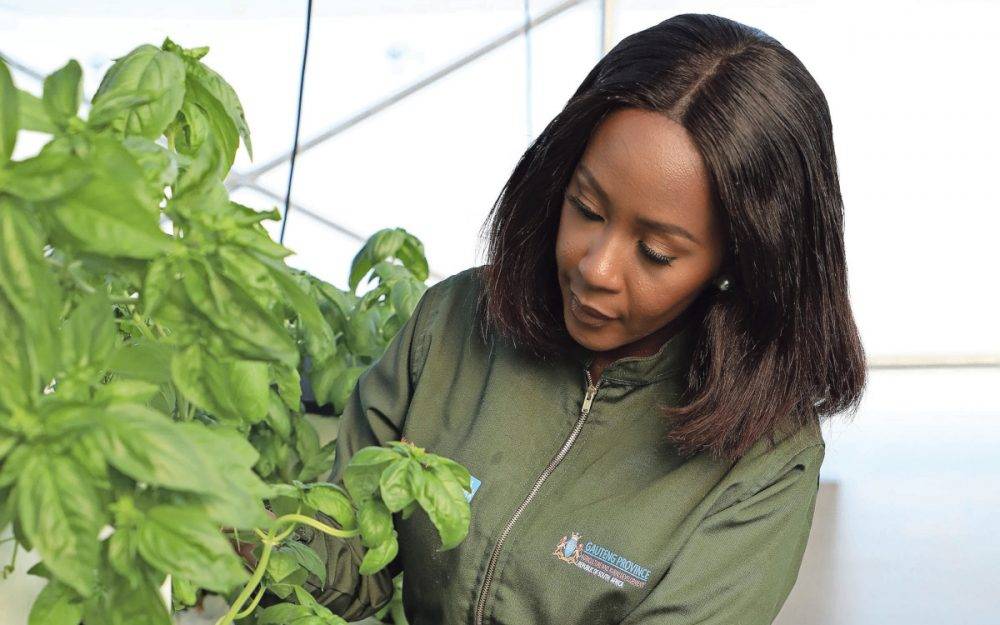 Creating food security through training, technology and the establishment of Buy-Back Centres for recycling waste