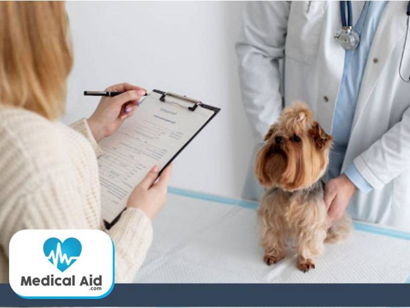 Three best pet insurance providers (2024)