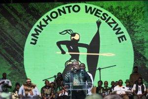 Mk Party Zuma 5881 Dv