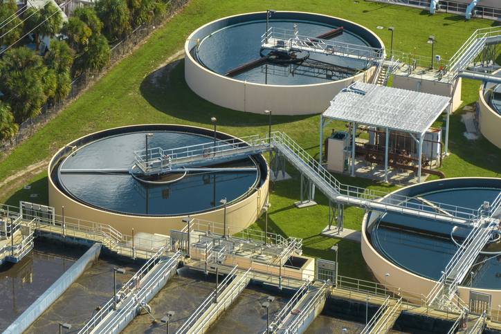 Scientists say pharmaceutical pollution is devastating wildlife