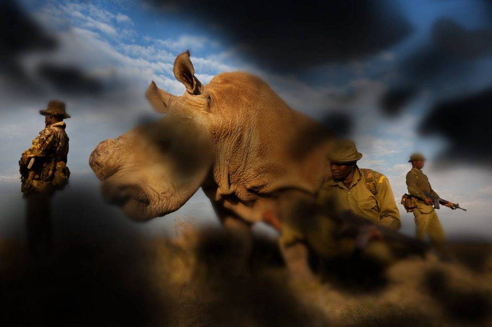 Canon’s World Unseen exhibition transforms photography experience for visually impaired in Morocco
