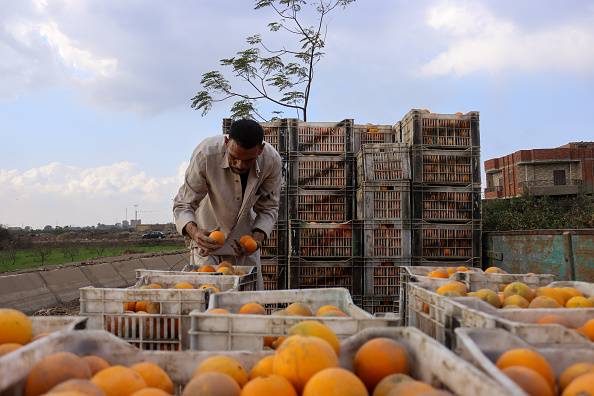 UN report shows decline in some chemical pollutants as new threats emerge