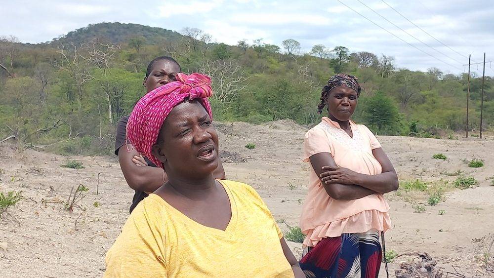 Zim Crisis4