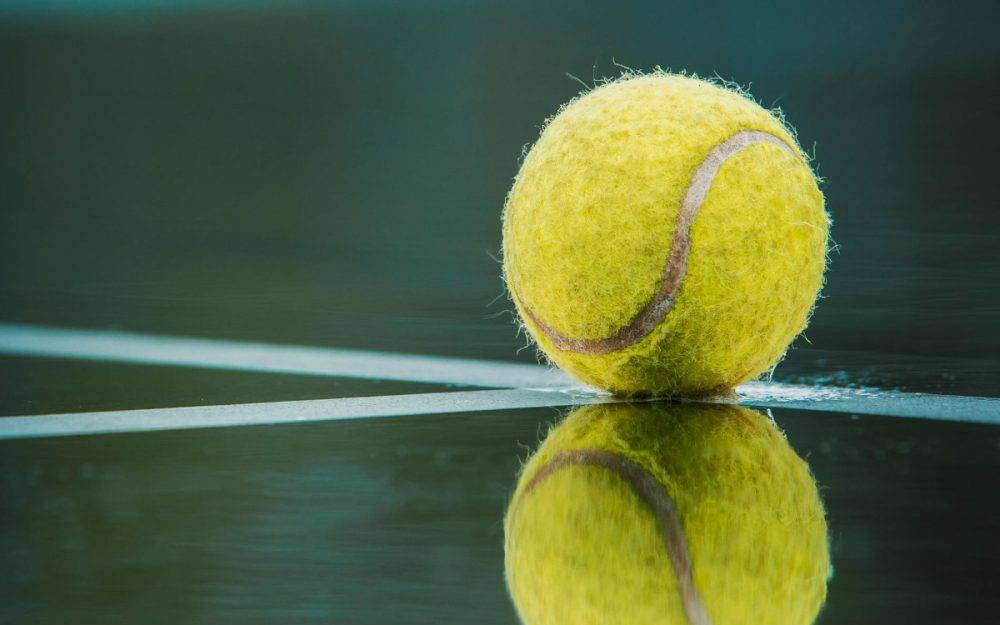 Wimbledon 2024: A thrilling tournament and a celebration of tennis excellence in SA