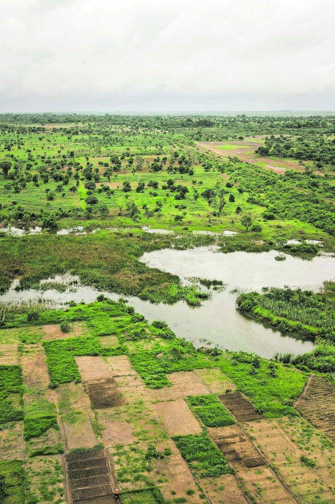 Climate financing crucial for Malawi’s agricultural sector