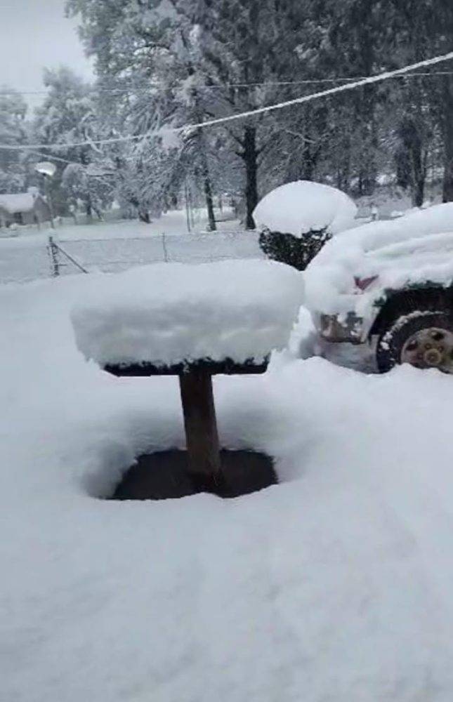 South African Weather Service issues level 8 warning in KwaZulu-Natal as snowfall hits parts of the country