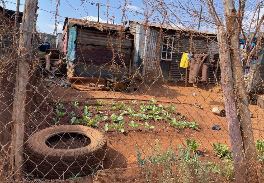 Best Pic 1 Township Garden