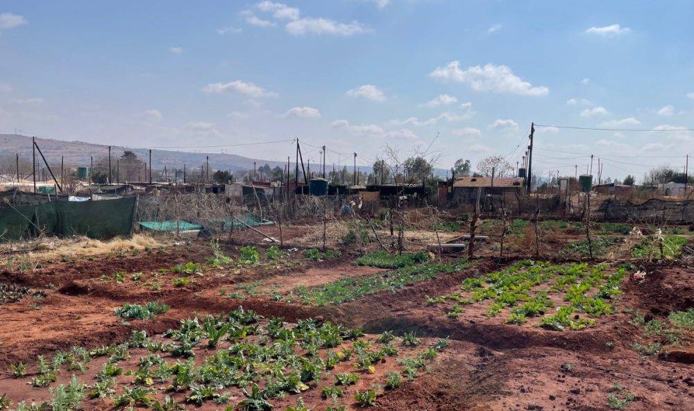 Best Pic 2 Township Allotments