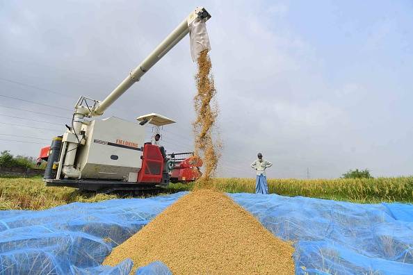 India’s rice export ban eases as global supplies recover, benefiting SA consumers