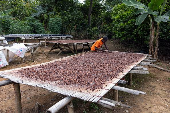 Corruption, water scarcity, and outdated farming are undermining food security in Africa