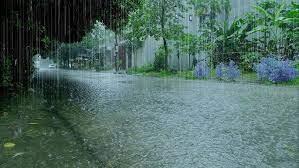 Climate-induced extreme weather events contribute to mental health problems