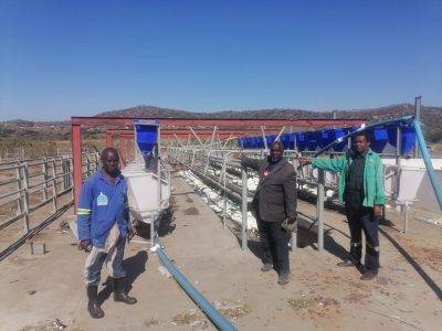 Mantusini Dairy Farm In The Eastern Cape 5 Extra Large