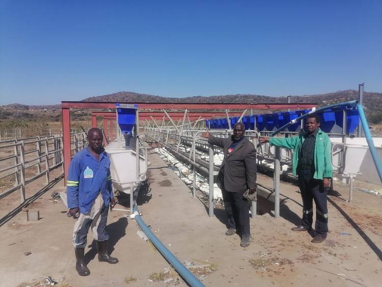 How government abandoned a multi-million-rand community dairy farm