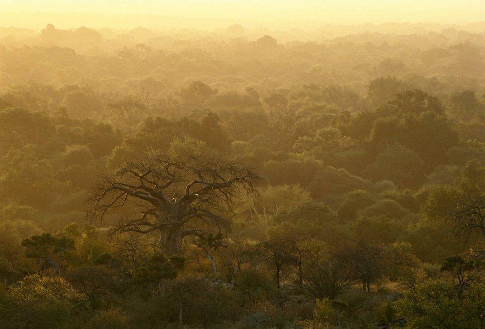 Coal mining threatens Vhembe Biosphere Reserve