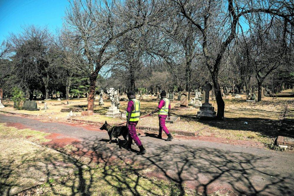 Cemetery 8110 Dv