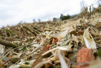 How judicial overreach blocks progress in South African agriculture