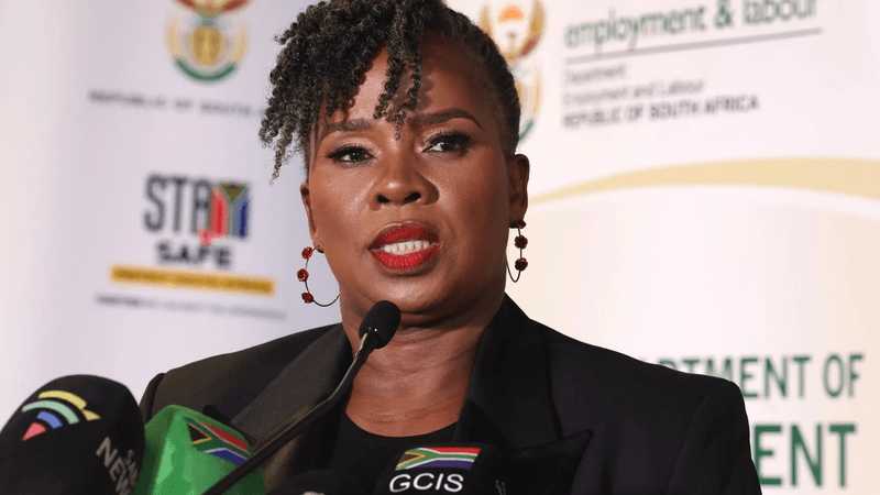 New equity targets are constitutional, counsel for labour minister tells court