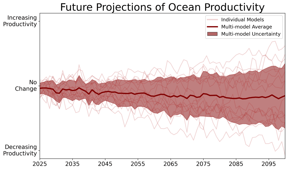 Model Projections Productivity