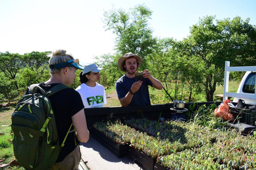 Richardhayexaminingsucculentsthatareabouttobeplantedwithvolunteers.