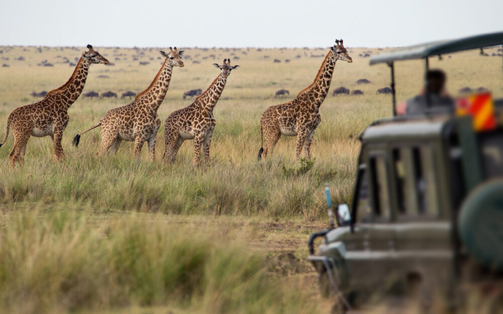 1656038663 Fcza Mail & Guardian Blog Images Solo Female Travellers 2000x1250 Botswana